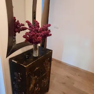 Apartman Schone In Der Grazer Innenstadt, Graz